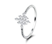 Silver Ring NSR-2720